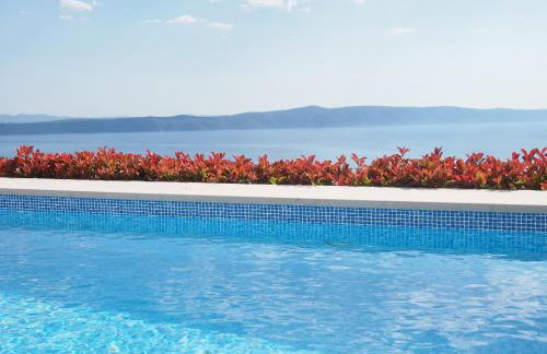 Luxury Villa Mala Podgora with Heated Pool - Foto 4