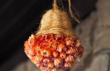 Leśne Zacisze - Foto 49