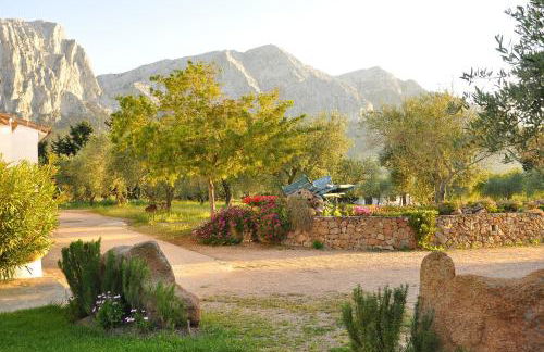 Agriturismo Guthiddai - Foto 51