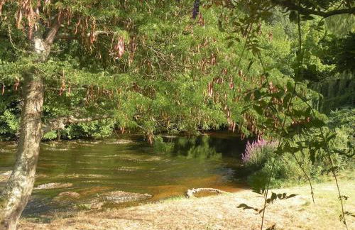 Gîte des Lavandières en bordure de Vienne (Civaux) - Foto 13