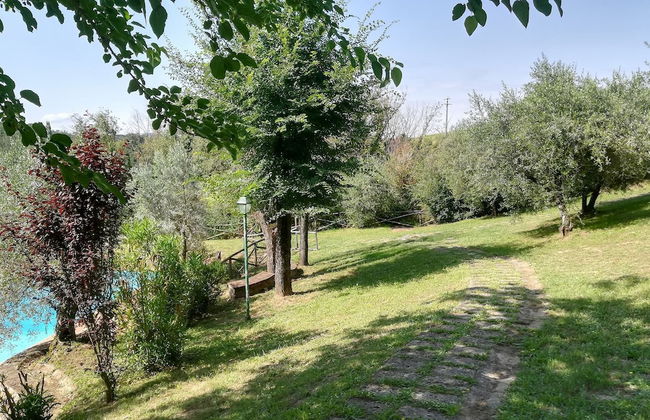 Tenuta San Vito - Foto 42