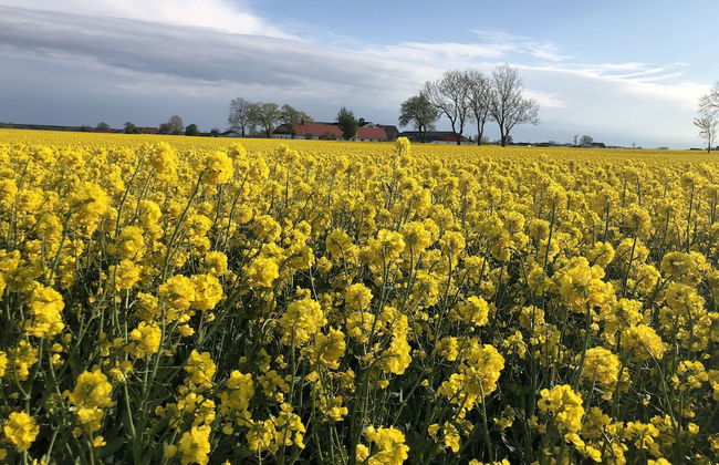 Mälarhusen Semesterby Österlen - Stugor & Gårdssviter - Photo 40