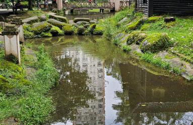 A cozy apt in the heart of Nazareth - Foto 14