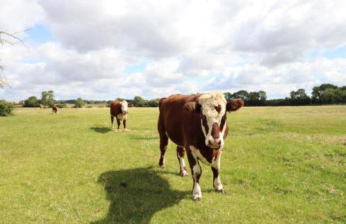 Redwood Cottage - Foto 40