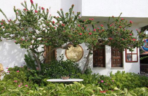 Hotel Mary - Foto 48