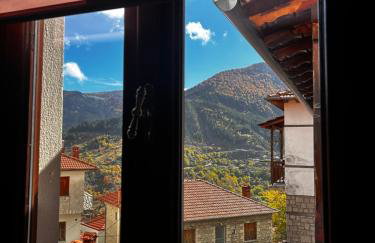 MetsoVillas στο κέντρο του Μετσόβου - Photo 17