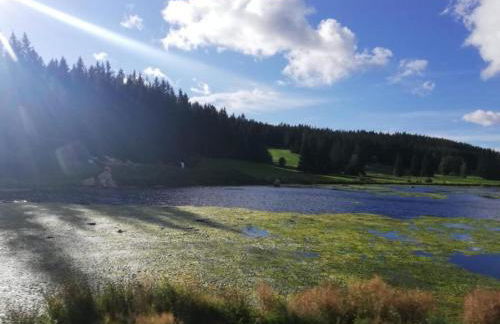 Apartment with private terrace in Velmede - Foto 31