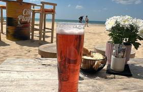 Studio en bord de mer, tous commerces animations - Foto 1