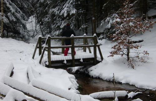 gîte La Belle Vue - Photo 19