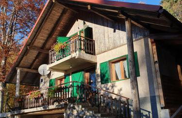 Śumska kuća - Foto 1