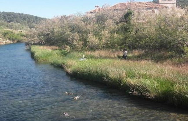 Apartments Smilje & Maslina - Foto 62