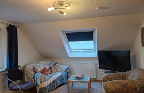 Les Papillons - Foto 23