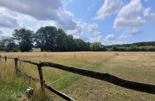 Ferienhof Schwalbennest OFC 24 - Foto 73