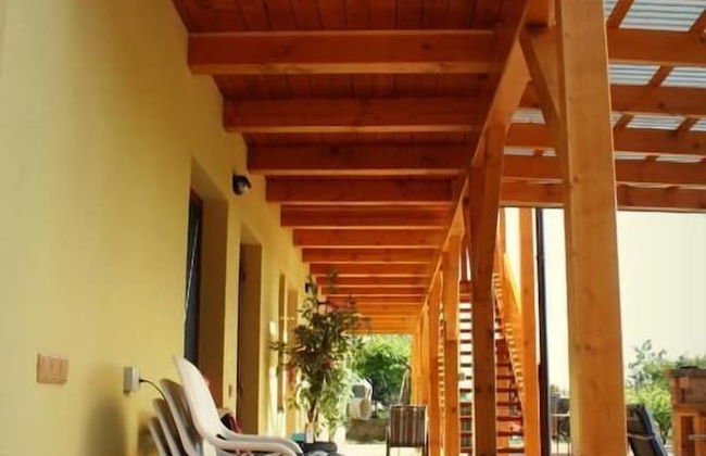 PENZION POD PALAVU - Photo 30