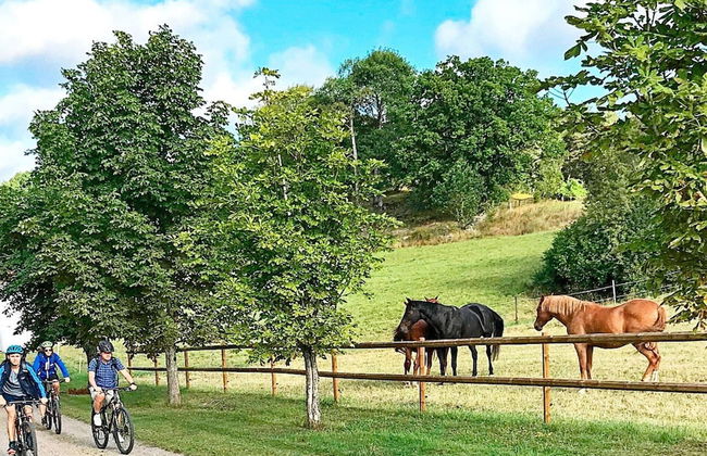 6 Person Holiday Home in Stjarnhov-by Traum - Foto 17