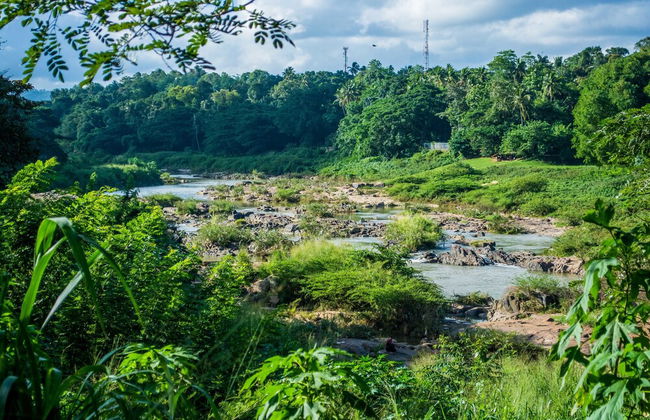 Riverine Cascade - Foto 31