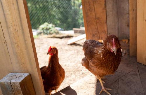 Apartments Kaserott - Photo 71