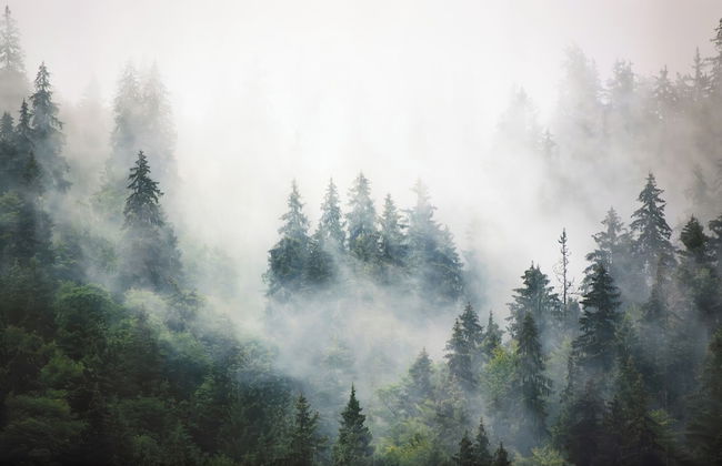 Italianway - Belvedere 28 - Foto 24