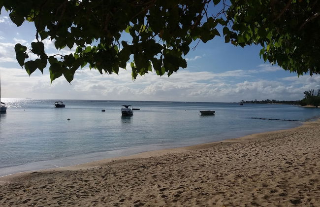 Sunny Private First Floor 1-br Beach Apartment With Spacious Balcony, Pool, Wifi - Photo 21