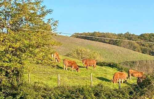 Casa Vacanze Podere San Giusto Volterra - Foto 29
