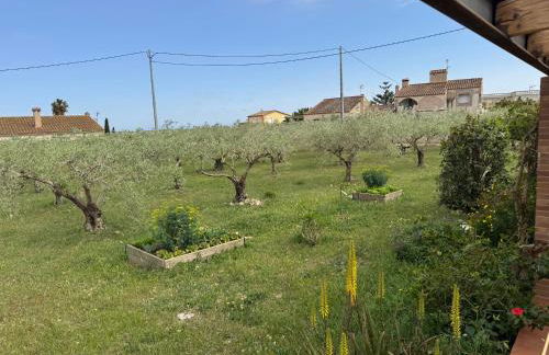 Masia en el Delta del Ebro - Foto 7