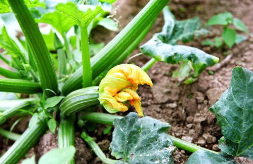 Agriturismo Il Raduno - Foto 121