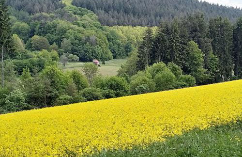 Ferienwohnung Morretalblick - Foto 21