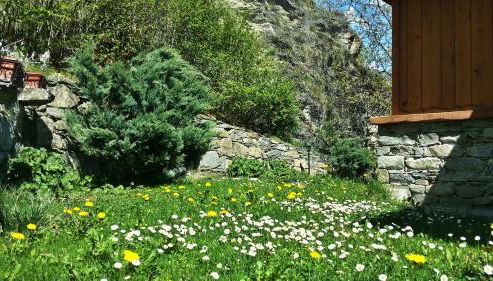 Il Rifugio della Volpe - Foto 5, Garden