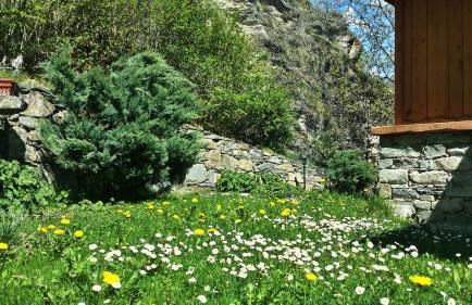 Il Rifugio della Volpe - Foto 5