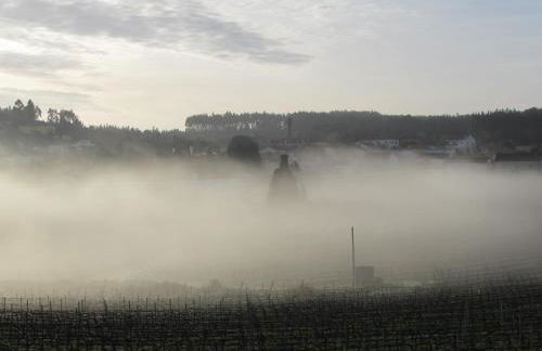 Quinta Sobral Prestige - Rustic House - Photo 54