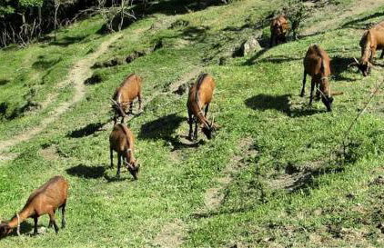 Agriturismo Paneolio - Foto 24