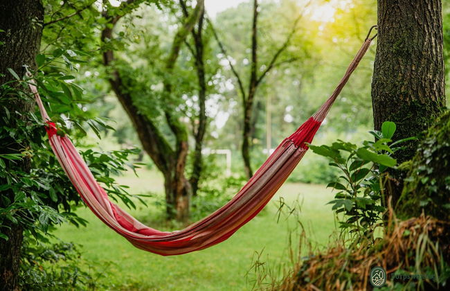 Cottage in Leenderstrijp Near Nature Reserve - Foto 32