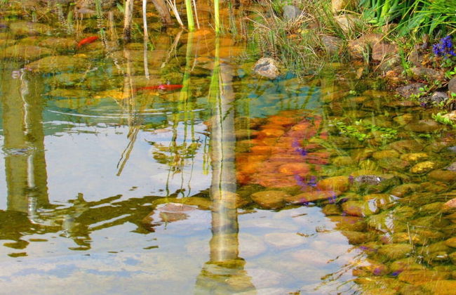 Charming Apartment in Haren - Photo 9