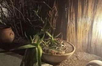 Holiday Home Entspannung am Meer in der Nähe von Neapel by Interhome - Foto 13