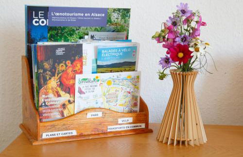 Colmar Friends and Familly guest home - ALL INCLUSIVE - COLMAR Gare - Jardin - Combles et Vous - Foto 54