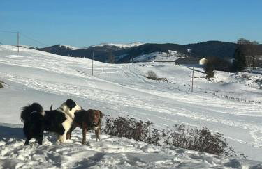 Les Hauts de la Piquante Pierre - Foto 32