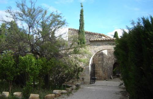 Mazaruelle - Photo 5