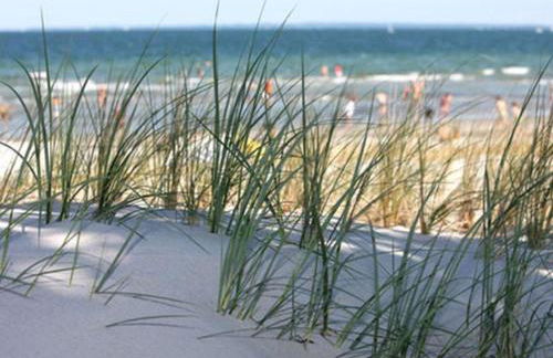 Altes Zollhaus Casa Meerblick - Foto 69