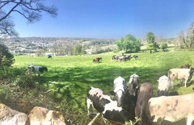 Stunning getaway in Wadebridge, Cornwall - Foto 15