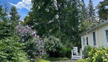 Cozy 2-bedroom Cottage with Access to Bantam Lake - Foto 5, Garden