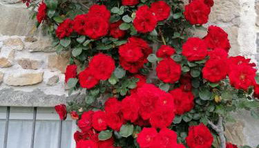 La casa In Valli 35 - Foto 2, Garden, Garden view