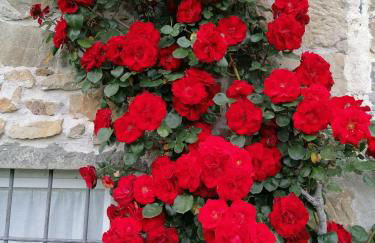 La casa In Valli 35 - Foto 2