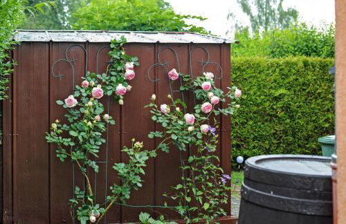 Ruheoase Kummerower See - Foto 7