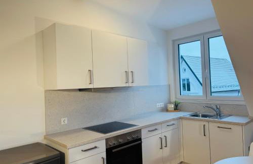 Marktplatz 14 Penthouse Apartments Bad Buchau - Foto 9