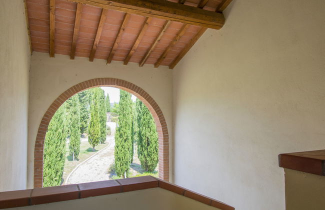 Il Felciaione - Foto 18