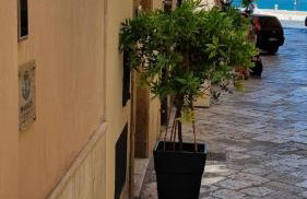 Maredì Brindisi vacation home - Photo 20