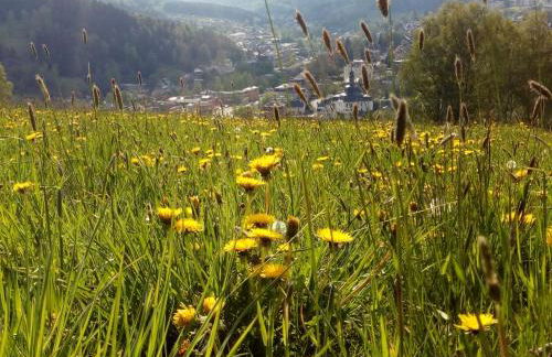 Ferienwohnung Döhlerwald - Photo 27