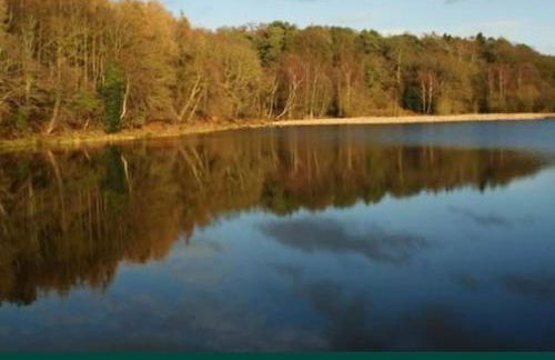 Charming Spacious Apartment, Kidderminster - Foto 26