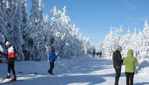 Ferienhaus Schelle - Foto 5