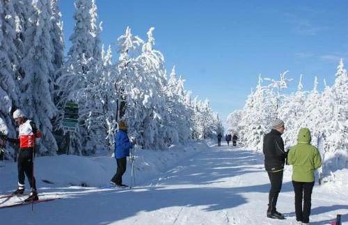 Ferienhaus Schelle - Foto 5